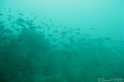 IMG_2059 - Panorama